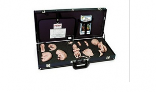 WA15715U 胚胎發(fā)育示教教程(模型、音像帶)-胚胎發(fā)育-WA15715U -上海亨隆科教設(shè)備